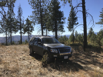 Suv vehicle parked in forest