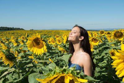 Young woman standing amidst sunflowers on field at farm against clear sky