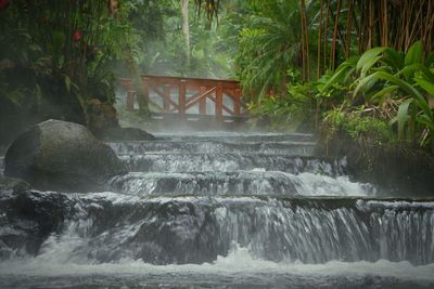 View of bridge over stream in forest