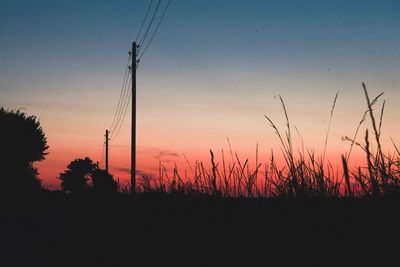 Silhouette plants on field against sky during sunset