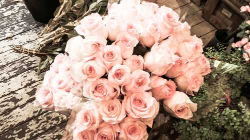 Close-up of pink rose