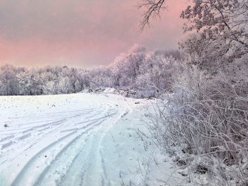 Snow covered field against sky