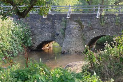 Arch bridge over river against trees