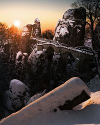 Snow covered trees against sky during sunset