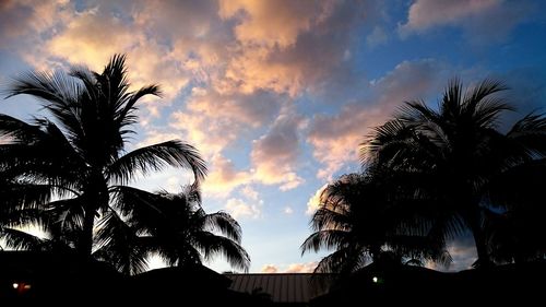 Low angle view of palm tree against cloudy sky