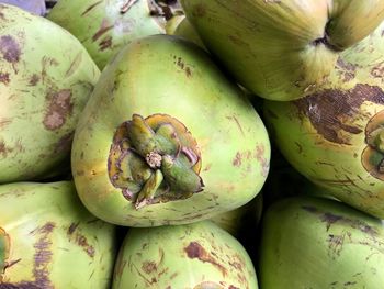 Full frame shot of fruits