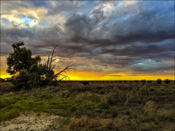 Scenic view of field against sky at sunset