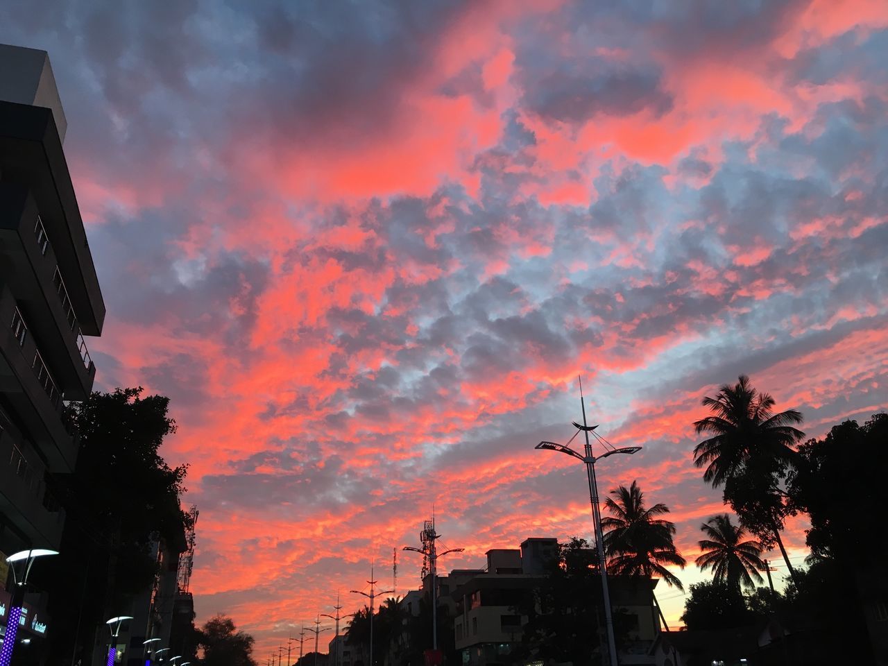 sky, sunset, cloud - sky, dusk, silhouette, built structure, outdoors, tree, low angle view, dramatic sky, nature, building exterior, city, architecture, no people, beauty in nature