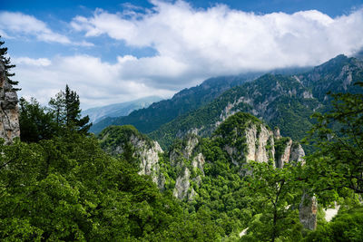 Panoramic view of trees and mountains against sky