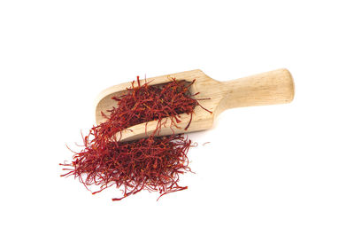 Close-up of dried plant against white background