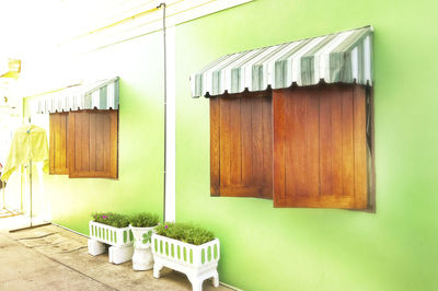 Potted plants on wall of building