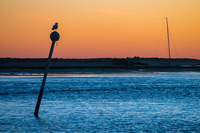 Seagull perched on post at sea.