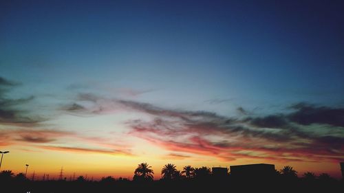 Silhouette of trees at sunset