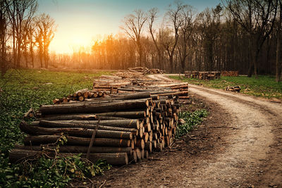 Stack of logs on field against sky