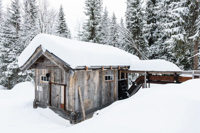 Old wooden snow covered barn in the forest