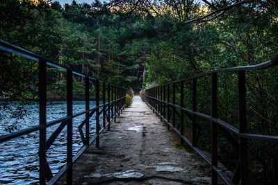 Footbridge amidst trees in forest