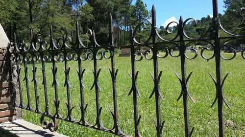 Fence on grass