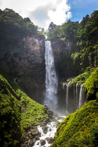 Scenic view of waterfall in forest