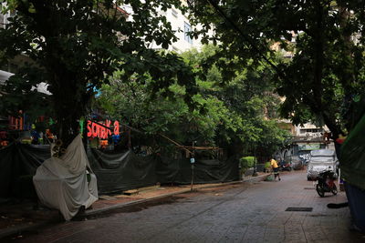 People on street amidst trees in city