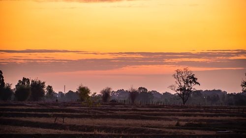 Scenic view of field against sky during sunset