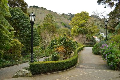 Footpath in park