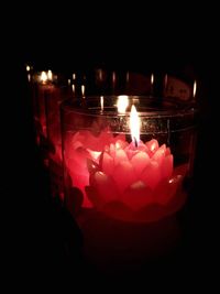 Close-up of pink rose in dark room