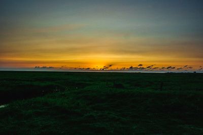 Scenic view of field against sky during sunset