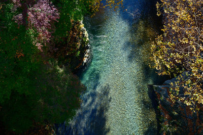High angle view of waterfall in forest