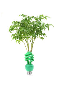 Close-up of green plant against white background