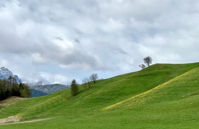 Scenic view of landscape against sky