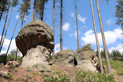 Rocks of gnomes - nature preserve of the bizarre rock formations in the poland near gorzeszów city