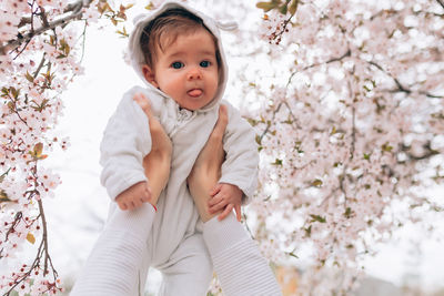 Cropped hands holding girl against cherry blossom tree