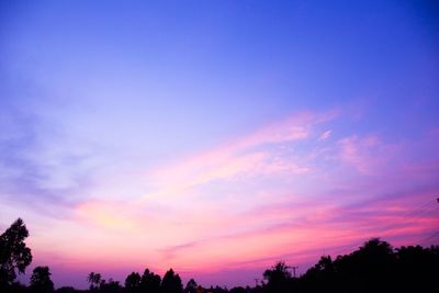 Low angle view of silhouette trees against blue sky at sunset