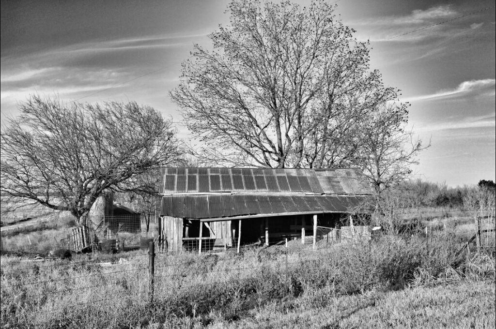 abandoned, built structure, tree, architecture, bare tree, sky, grass, obsolete, field, house, old, damaged, building exterior, run-down, deterioration, wood - material, tranquility, nature, landscape, plant