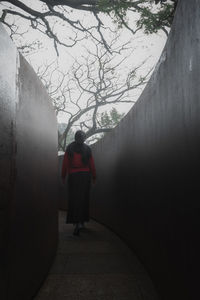 Rear view of man standing on footpath