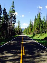 Empty road with trees in background