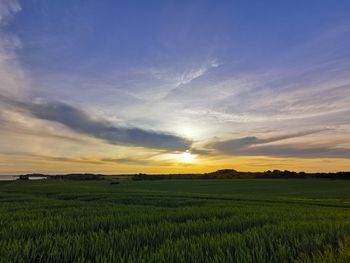 Scenic view of agricultural field against sky during sunset