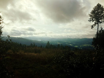 Scenic view of landscape against sky