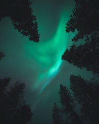 Low angle view of silhouette trees against sky at night