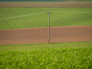 Scenic view of farm