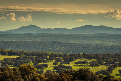 Scenic view of landscape against sky during sunset