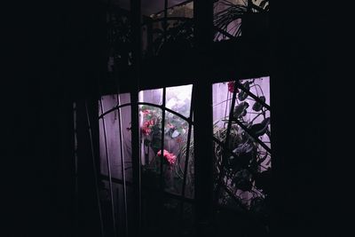 Tree seen through window