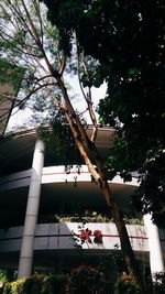 Low angle view of tree by building against sky