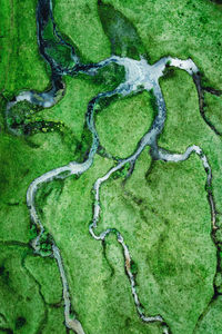 High angle view of road