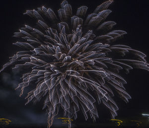 Low angle view of firework display against sky at night