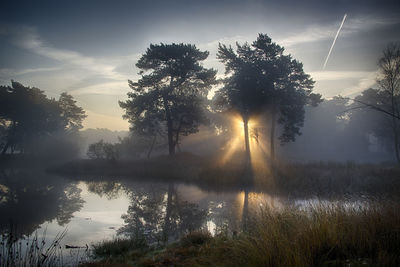 Trees by lake against sky during sunset