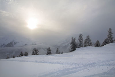 Austria. alps. ski track on the slope, natural landscape