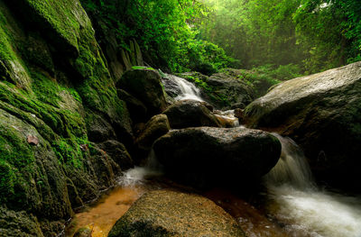 Beautiful waterfall in jungle. waterfall in tropical forest with green tree and sunlight. 