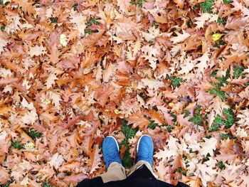 Low section of person standing in park
