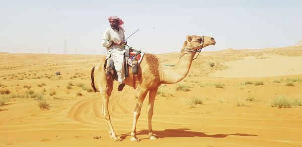View of horse in desert